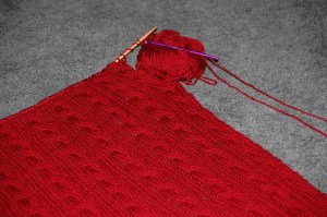 red-blanket-006 red-blanket-006