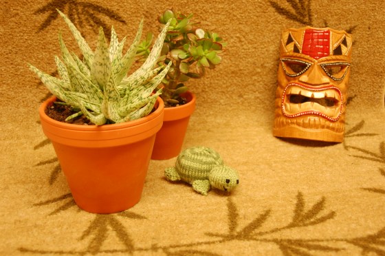 dad orca starfish 012